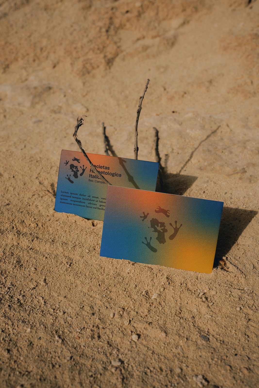 Business Card Mockup
